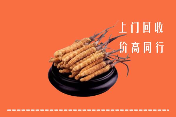 收购行情：商丘市睢县回收散虫草