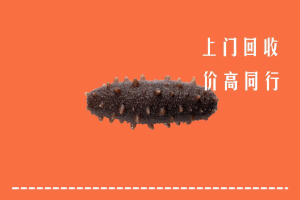 高价求购：商丘市睢县回收海参